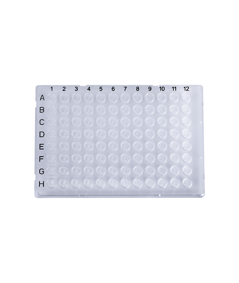 PCR20-C-96-FS-BC 0.2 مل واضح 96-بئر كامل التنورة لوحة PCR