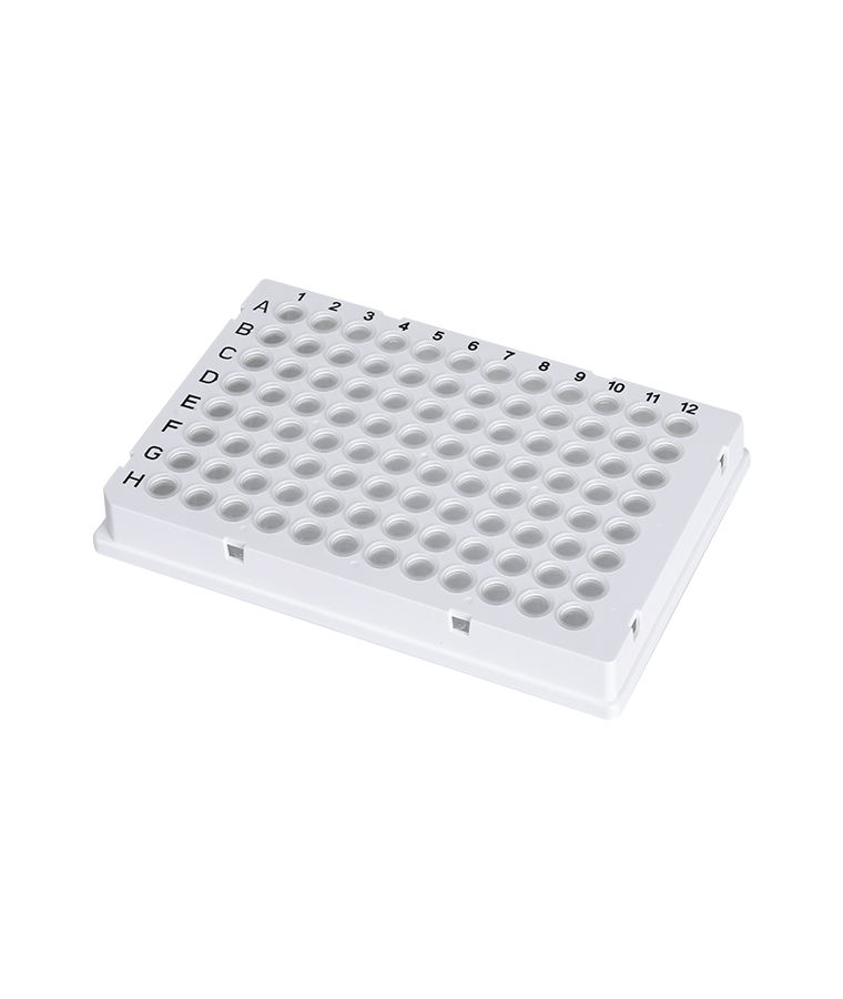 PCR20-C-96-FS-BR 0.2 مللي شفاف 96-بئر كامل التنورة لوحة PCR لـ Biorad